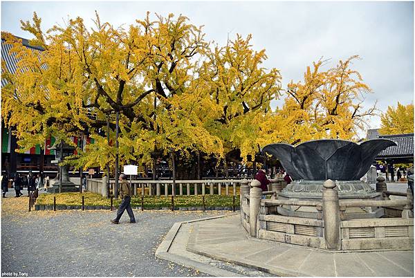 西本願寺11.jpg