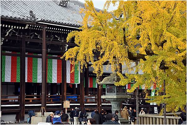 西本願寺16.jpg