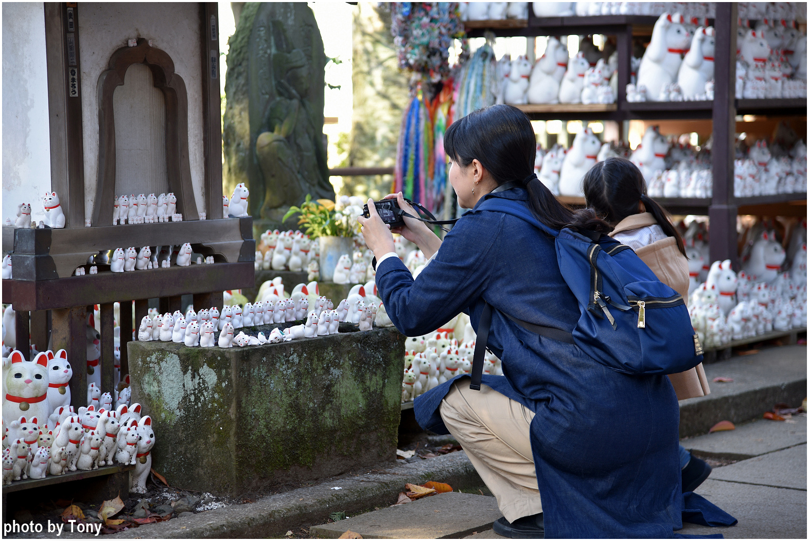 豪德寺27.jpg