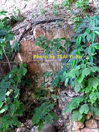 IMG_1710M_汐止南港間下寮溪橋南橋台少許遺跡(𢪬倉坑溪橋_康誥坑溪橋_25°03%5C49.6N 121°39%5C07.0E)_蔡宜儒攝20200620.jpg