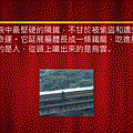 投影片3.GIF