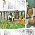 新台灣雜誌657期2.jpg