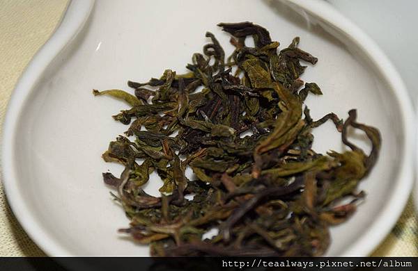 20150112傲骨冬芽03