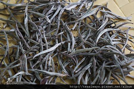 20150122薄暮白茶01