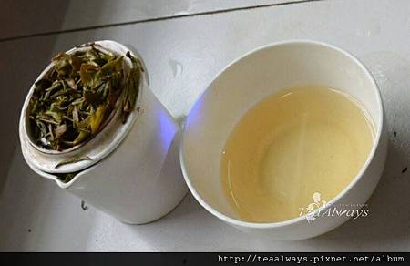 20130508瑞希赫DJ-1頭香1 20130508瑞希赫DJ-1頭香1