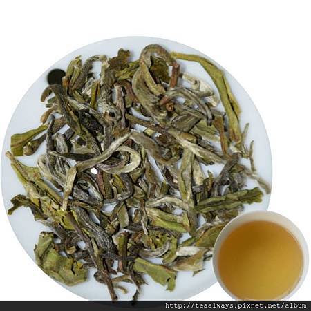 11050206_991420957548869_2747896208434571264_n (1)