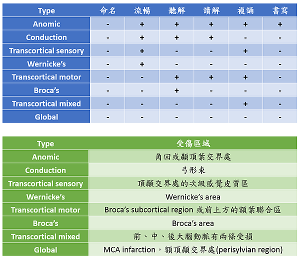 各類失語症的臨床表現與受損區域－~Teachingcenter的醫學筆記