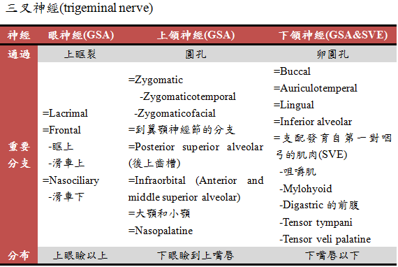 Trigeminal nerve.PNG