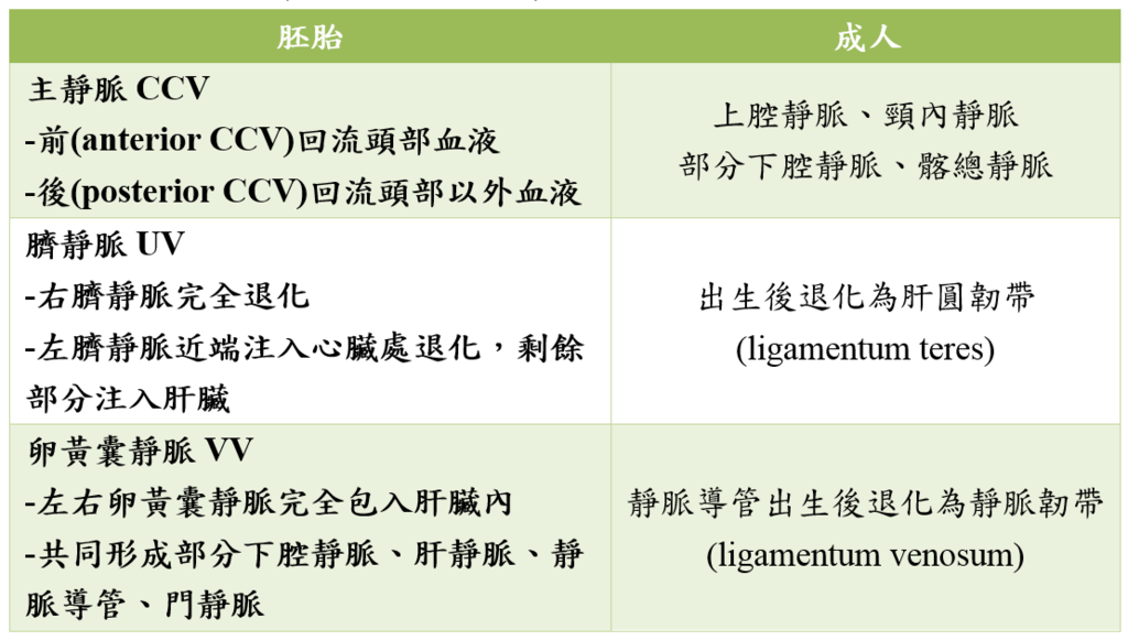 venous_development.PNG