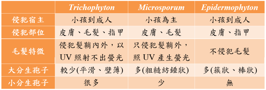 致病性真菌 Teachingcenter的醫學筆記 痞客邦