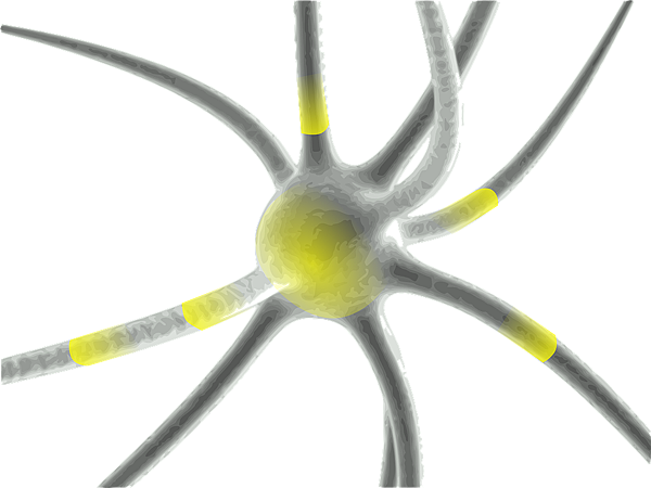 neuron-160944_960_720.png