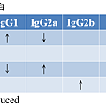 cytokines_and_Ig.PNG