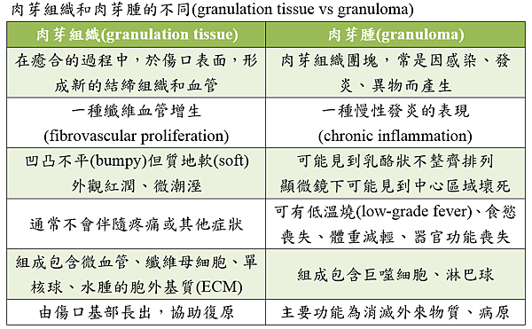 granulation_tissue_vs_granuloma.PNG