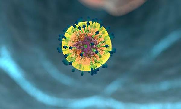 immune-system-1132182_640.jpg