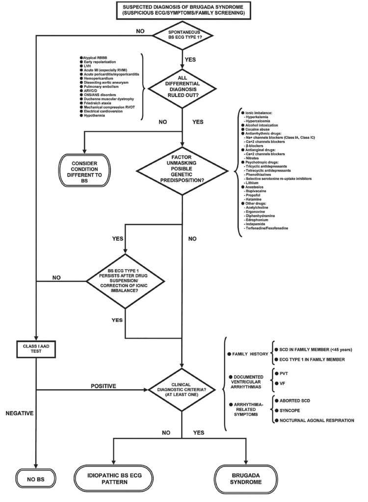 alogram_of_brugada_syndrome.PNG