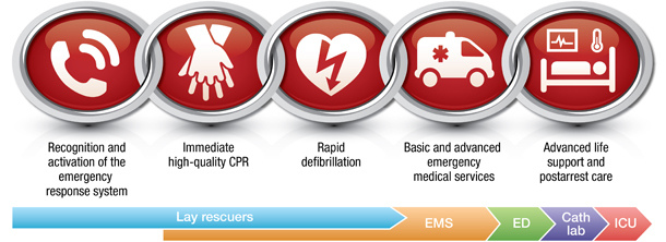 Acls 課前練習試題 基本救命術 Bls 1 Teachingcenter的醫學筆記 痞客邦