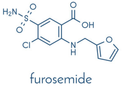 furosemide_structure.PNG furosemide_structure.PNG