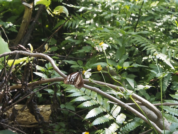 _9190008.jpg _9190008.jpg