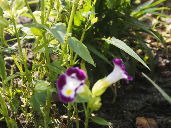 _9190013.jpg _9190013.jpg