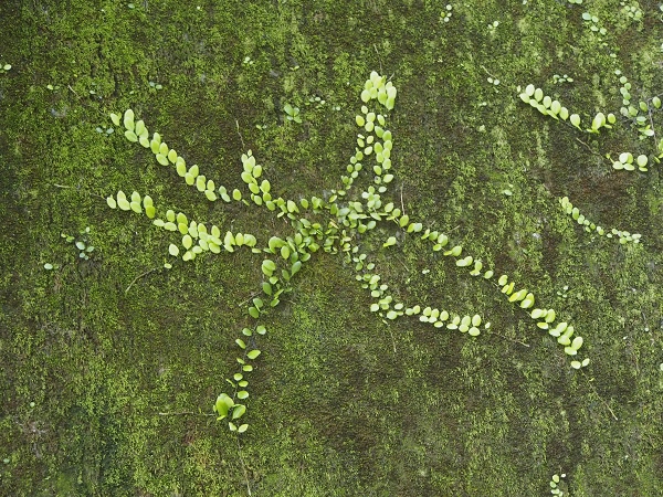 _9190017.jpg _9190017.jpg