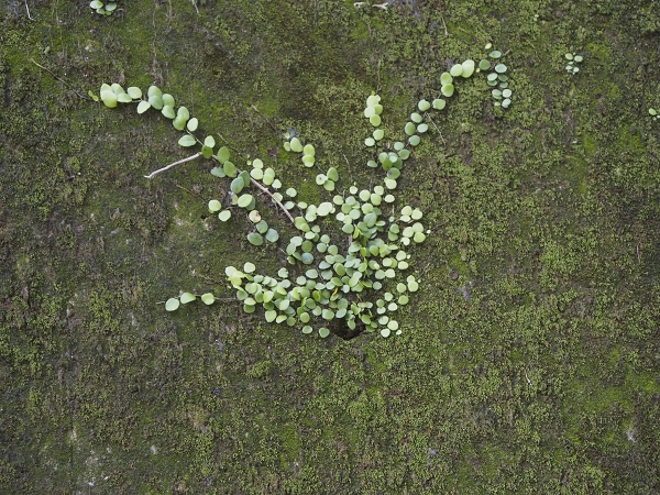 _9190018.jpg _9190018.jpg