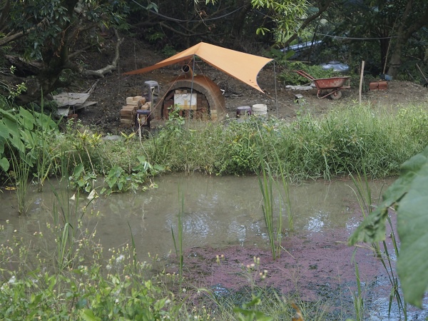 _9190023.jpg _9190023.jpg