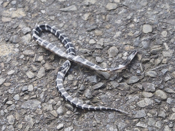 _9190024.jpg _9190024.jpg