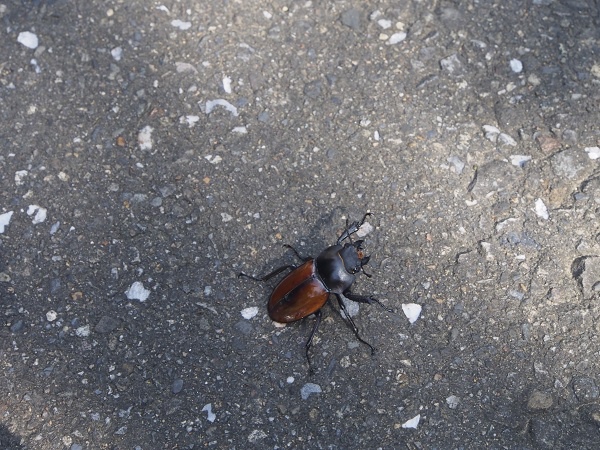 _9190026.jpg _9190026.jpg