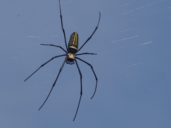 _9190028.jpg _9190028.jpg