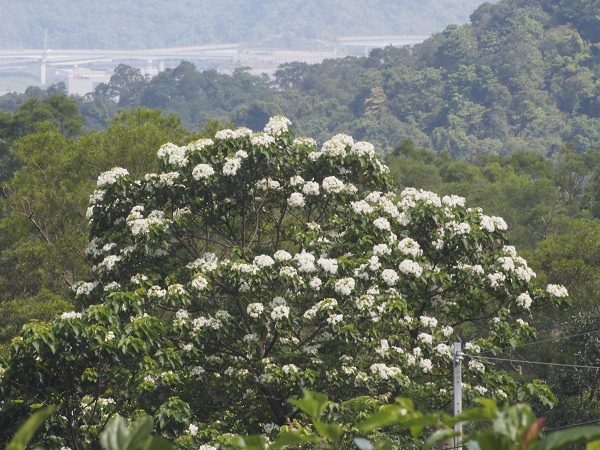 _9190031.jpg _9190031.jpg