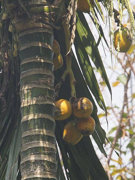 _9190030.jpg _9190030.jpg