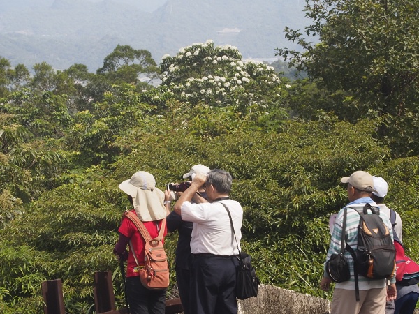 _9190033.jpg _9190033.jpg