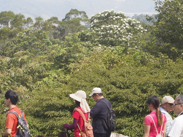 _9190032.jpg _9190032.jpg