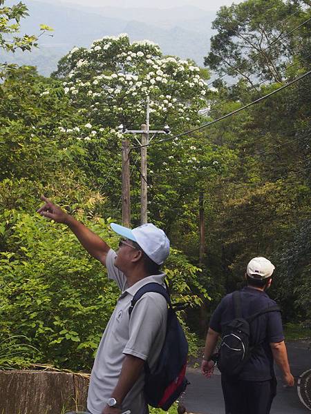 _9190035.jpg _9190035.jpg