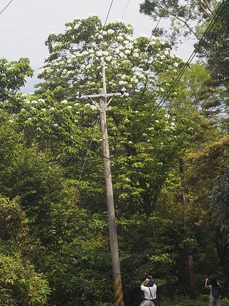 _9190036.jpg _9190036.jpg