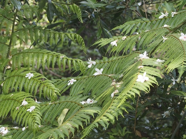 _9190038.jpg _9190038.jpg