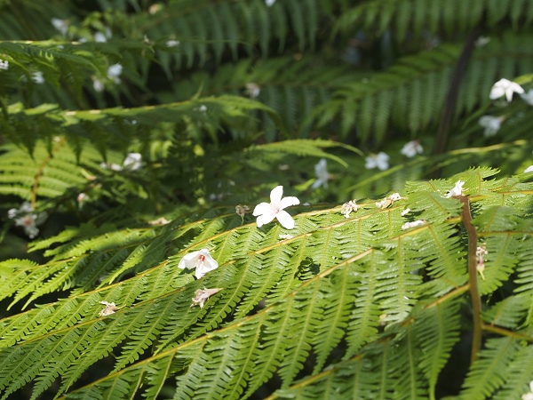 _9190039.jpg _9190039.jpg