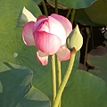 rDSCN1261