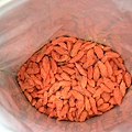 rDSCN5507.JPG