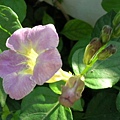 rDSCN3869.JPG