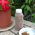 rDSCN6873.JPG