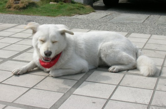 rDSCN5306.JPG rDSCN5306.JPG