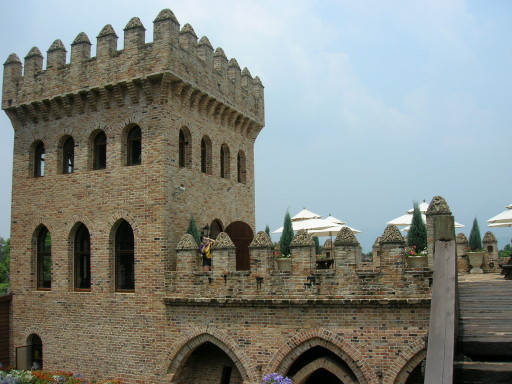 rDSCN7198.JPG
