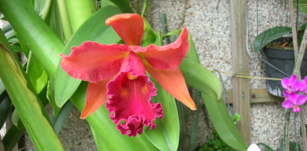 rDSCN7676.JPG