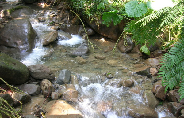 rDSCN8208.JPG
