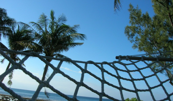 rDSCN0679.JPG