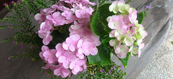 rDSCN3096.JPG