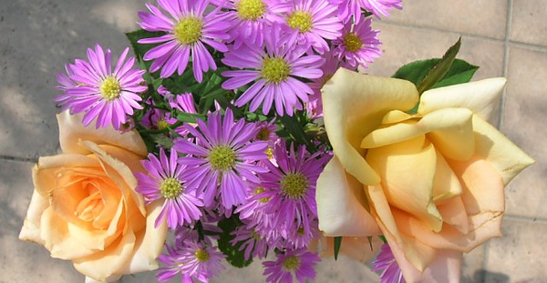 rDSCN4561.JPG