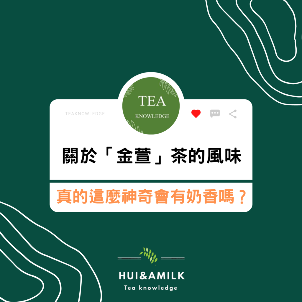 關於金萱茶的風味｜真的會有奶香味嗎？