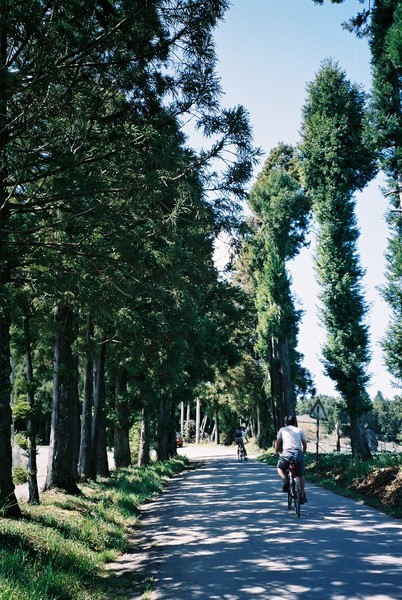 天池路上